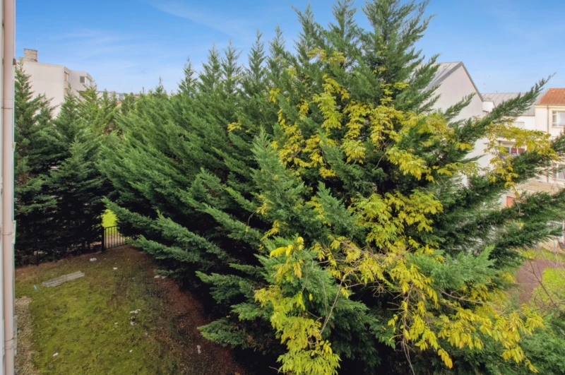 Appartement 44m² - Drancy 7