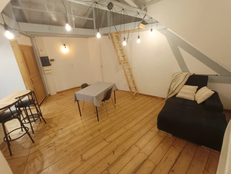 T2 meublé avec bureau et espace mezzanine 1