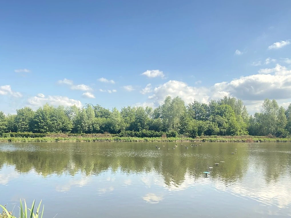 HUTTE DANS LE MARAIS DE GUINES (PAS DE CALAIS) 1
