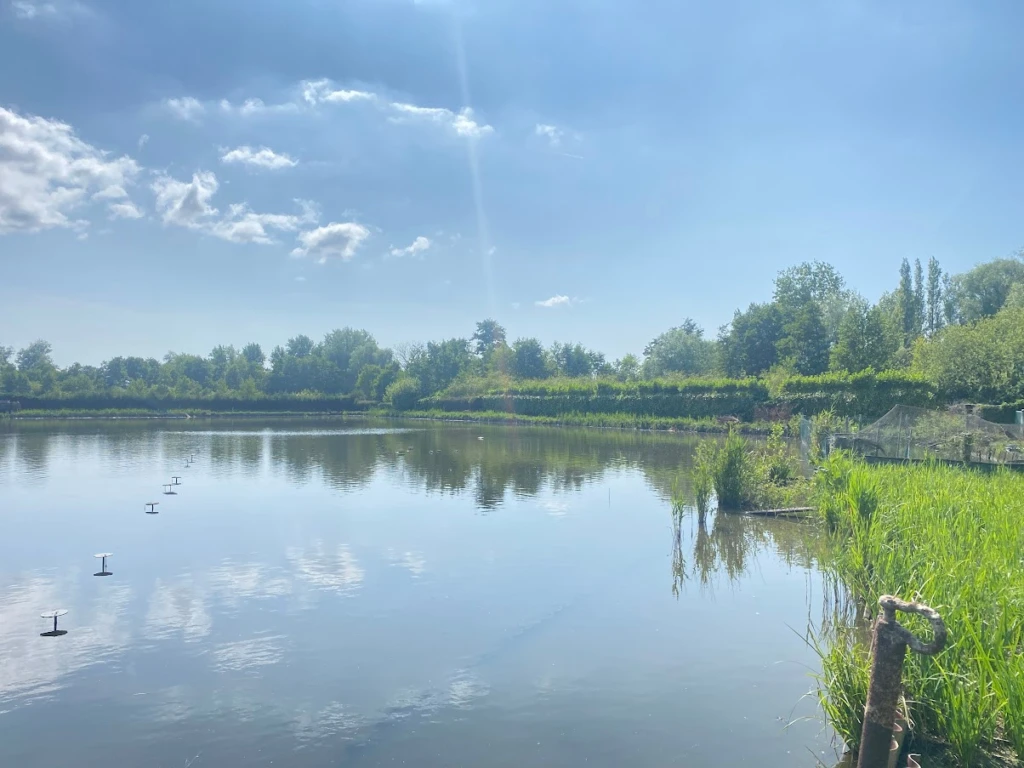 HUTTE DANS LE MARAIS DE GUINES (PAS DE CALAIS) 2