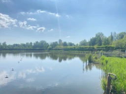 HUTTE DANS LE MARAIS DE GUINES (PAS DE CALAIS) 2