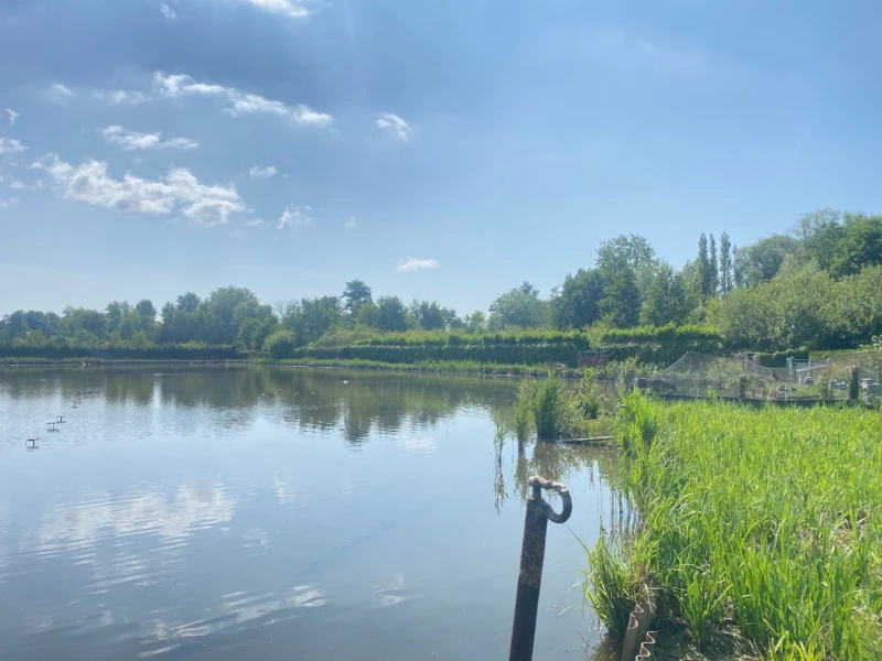 HUTTE DANS LE MARAIS DE GUINES (PAS DE CALAIS) 3