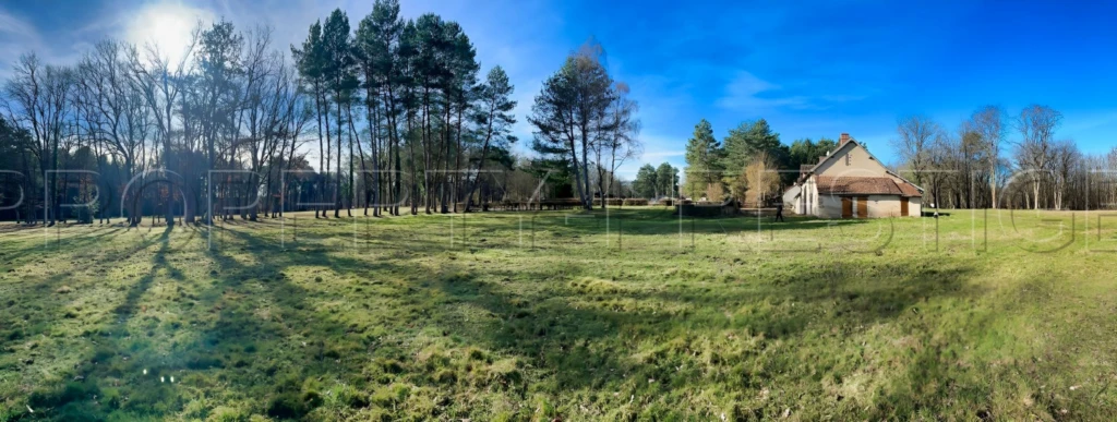 FORET DE TRONCAIS ALLIER LONGERE AVEC 1,4 HA 1