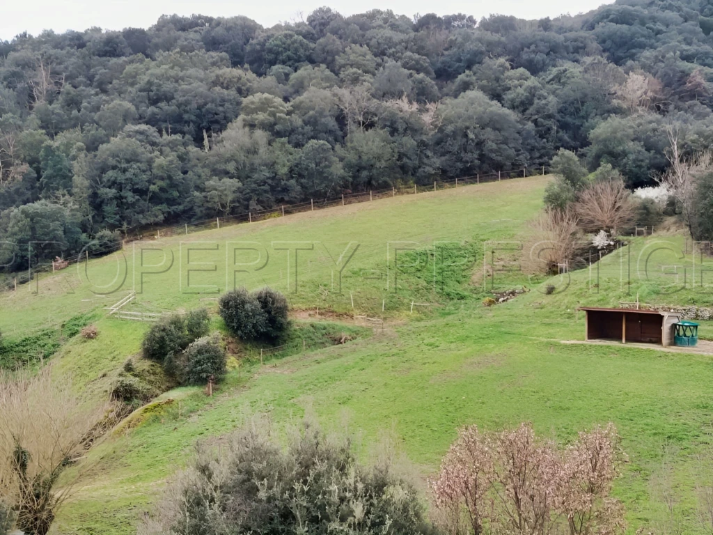 ARDECHE PROPRIETE DE CHARME 10 HA 5