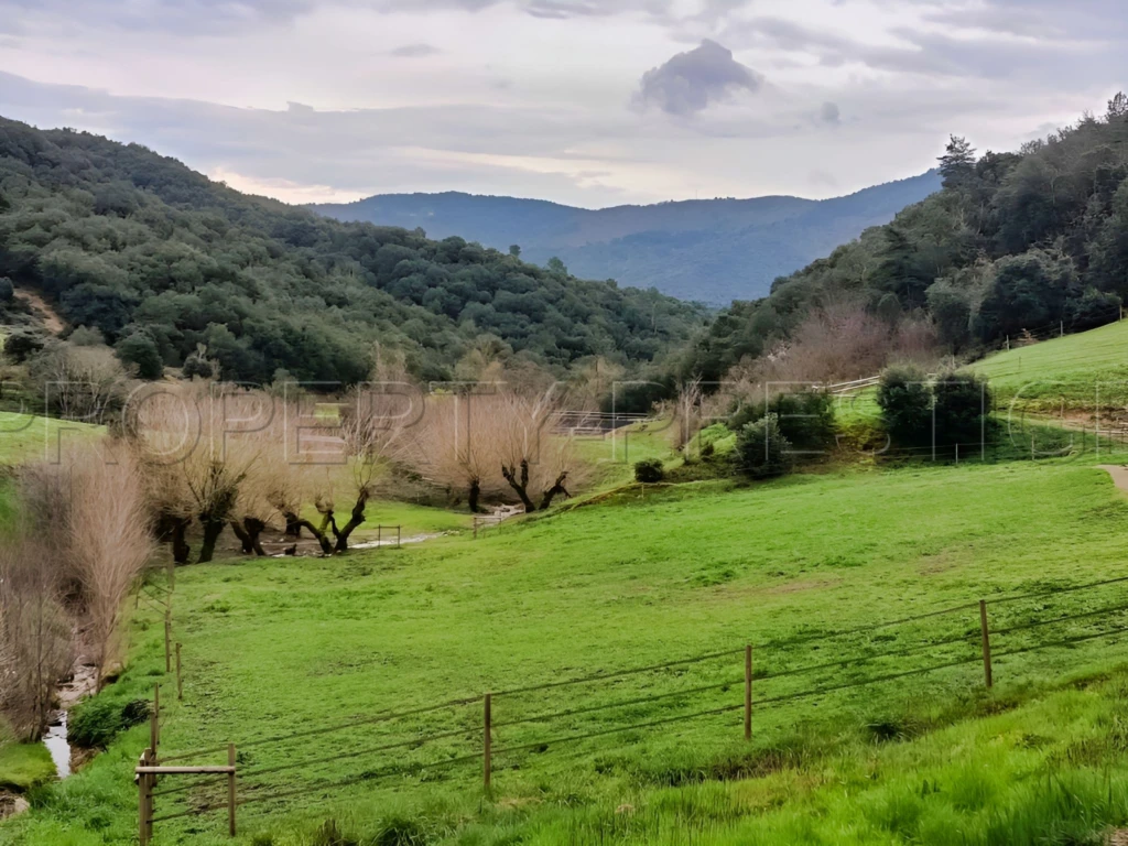 ARDECHE PROPRIETE DE CHARME 10 HA 10