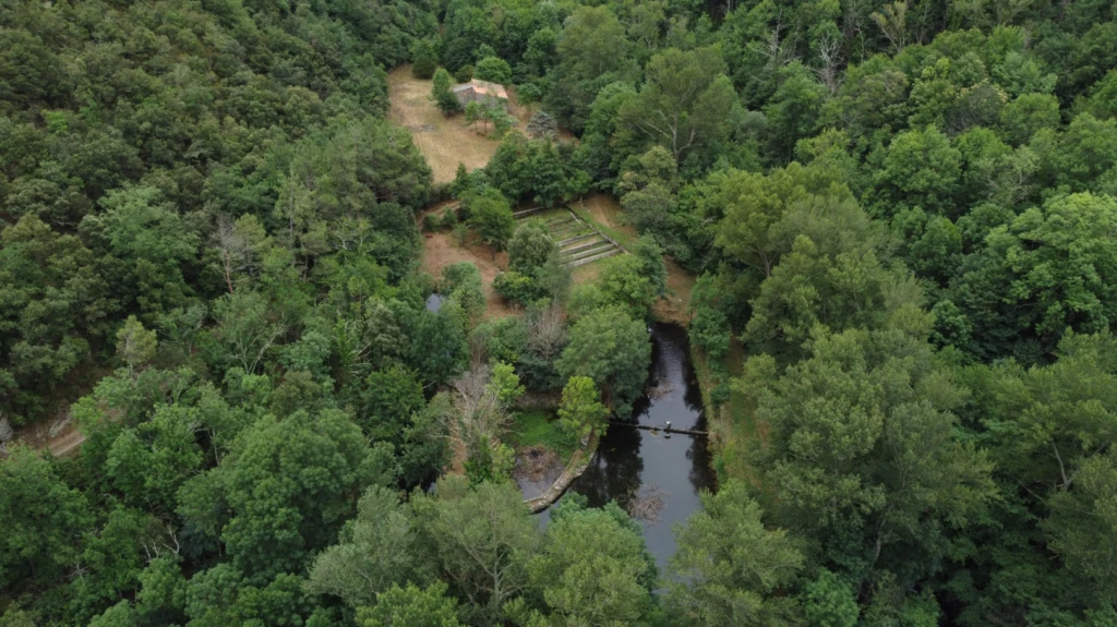 Forêt de 308 Hectares au Cœur du Conflent 1