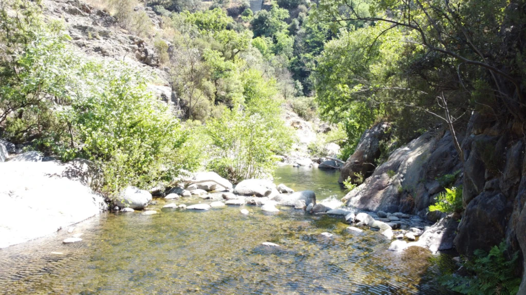 Forêt de 308 Hectares au Cœur du Conflent 3