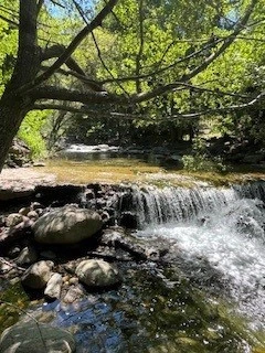 Forêt de 308 Hectares au Cœur du Conflent 4