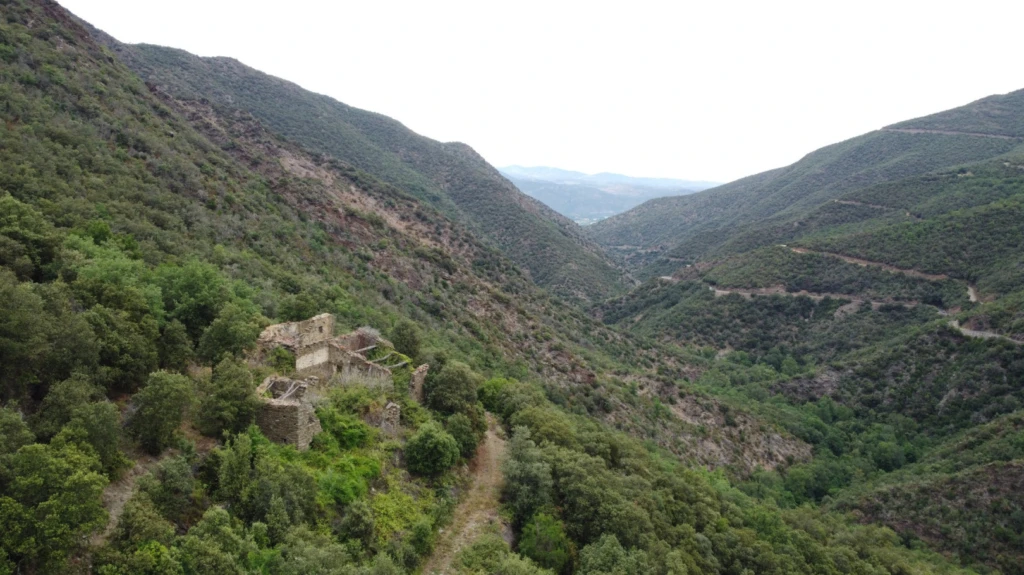 Forêt de 308 Hectares au Cœur du Conflent 5
