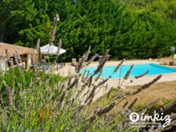 Maison d'architecte 13 pces ,2 log.ou unifamiliale 1
