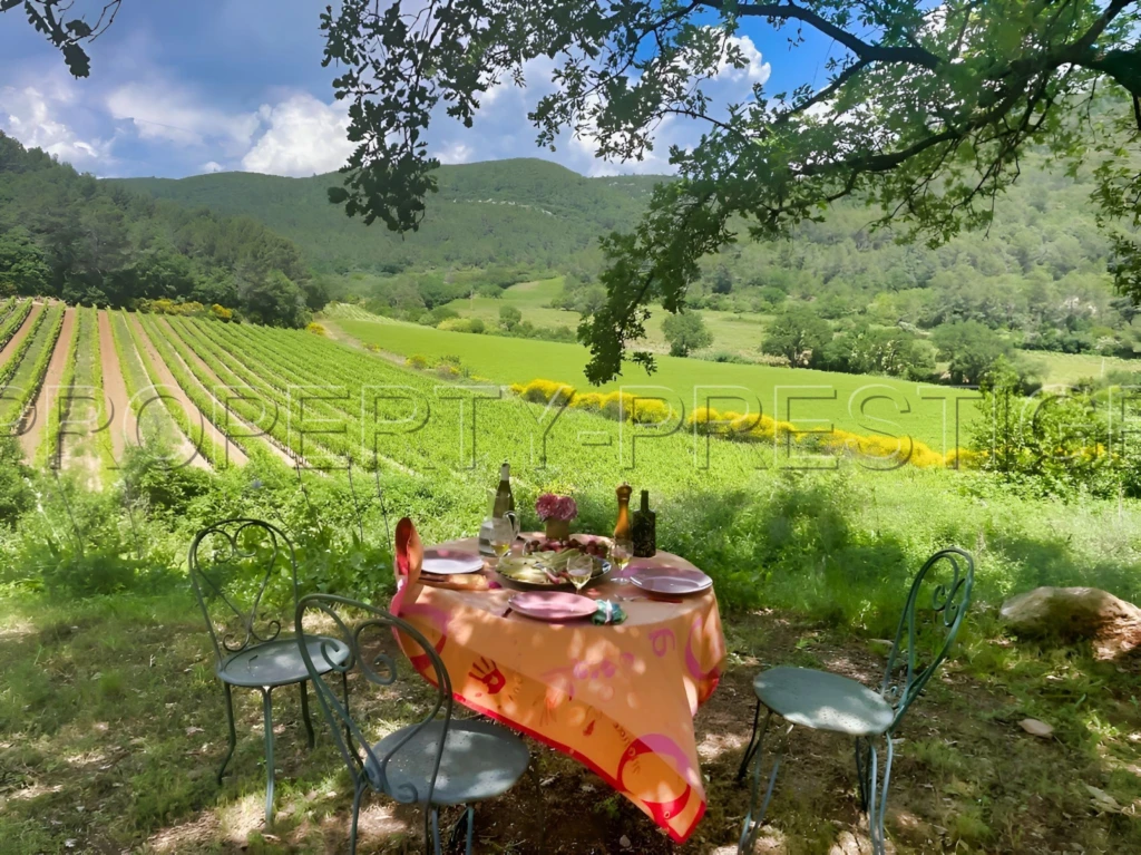 PROVENCE VERTE DOMAINE 62 HA OLIVERAIE VIGNES 1