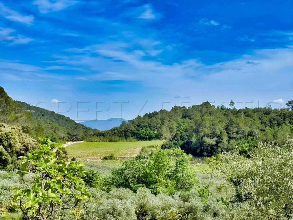 PROVENCE VERTE DOMAINE 62 HA OLIVERAIE VIGNES 2