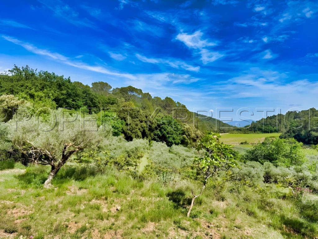 PROVENCE VERTE DOMAINE 62 HA OLIVERAIE VIGNES 7