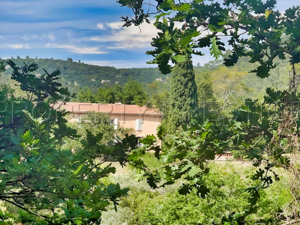 PROVENCE VERTE DOMAINE 62 HA OLIVERAIE VIGNES 8