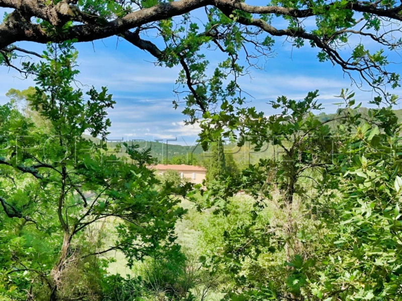 PROVENCE VERTE DOMAINE 62 HA OLIVERAIE VIGNES 9