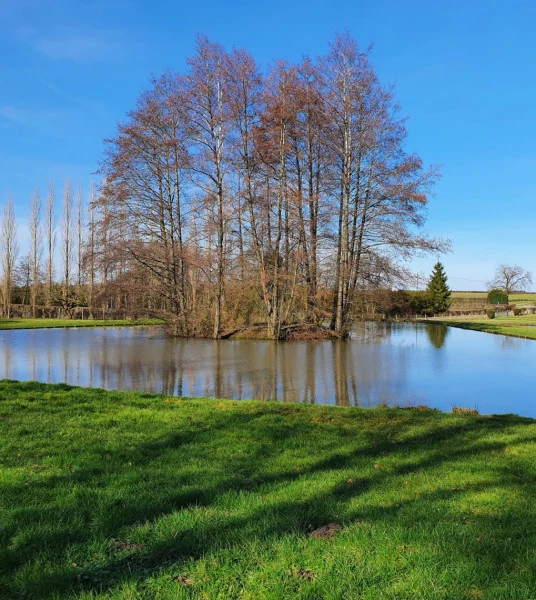 PROPRIETE PECHE LOISIRS DANS L'AVESNOIS (59) 5