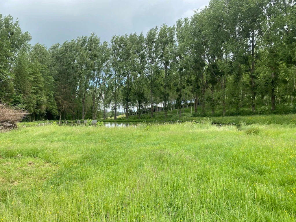 PROPRIETE RURALE NORD AISNE 4