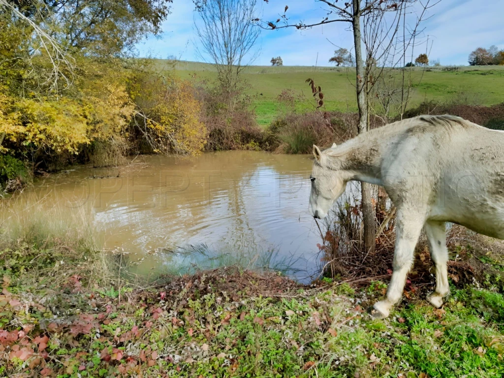 GERS Ferme autonome et bioclimatique 42 Ha 14
