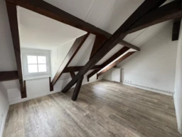 CHARMANT 2 PIECES LE MARAIS - 50m2 au sol 1
