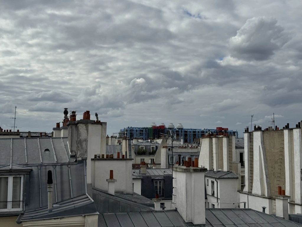 CHARMANT 2 PIECES LE MARAIS - 50m2 au sol 6