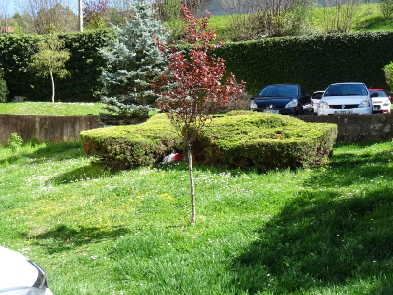 Appartement 4 pièces vue sur la vierge 14