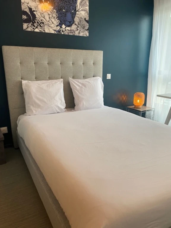 A202 STUDIO MEUBLE 20M² 1