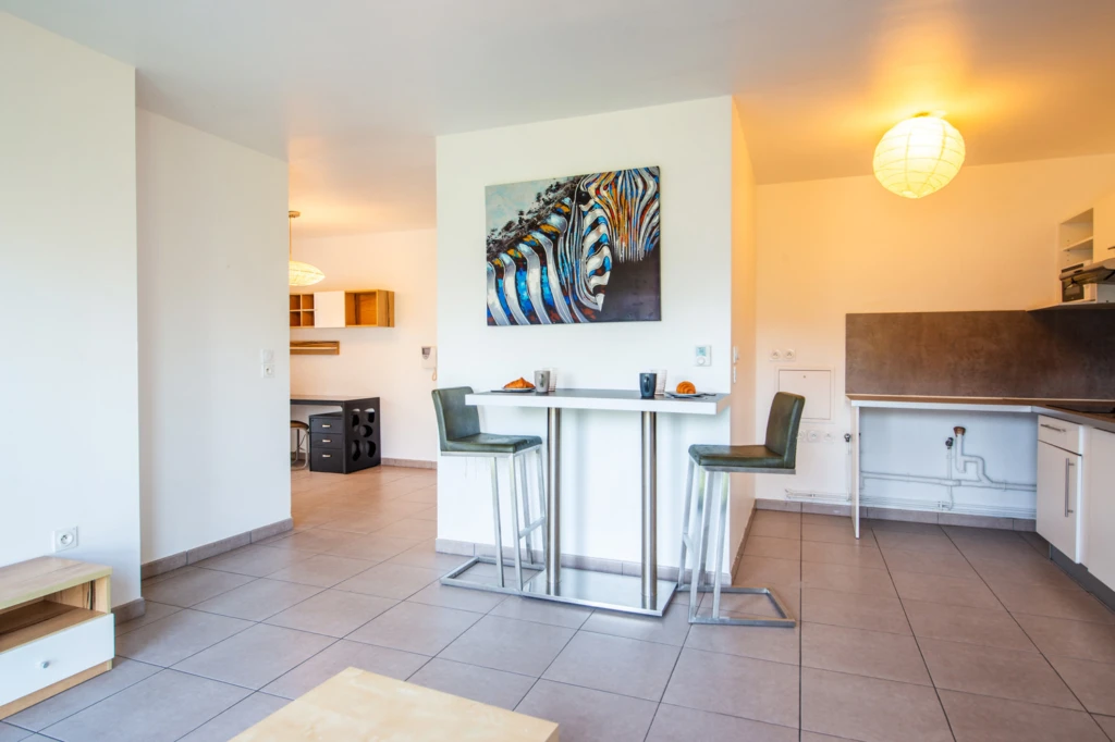 Grand T2 meublé Saint Herblain 2