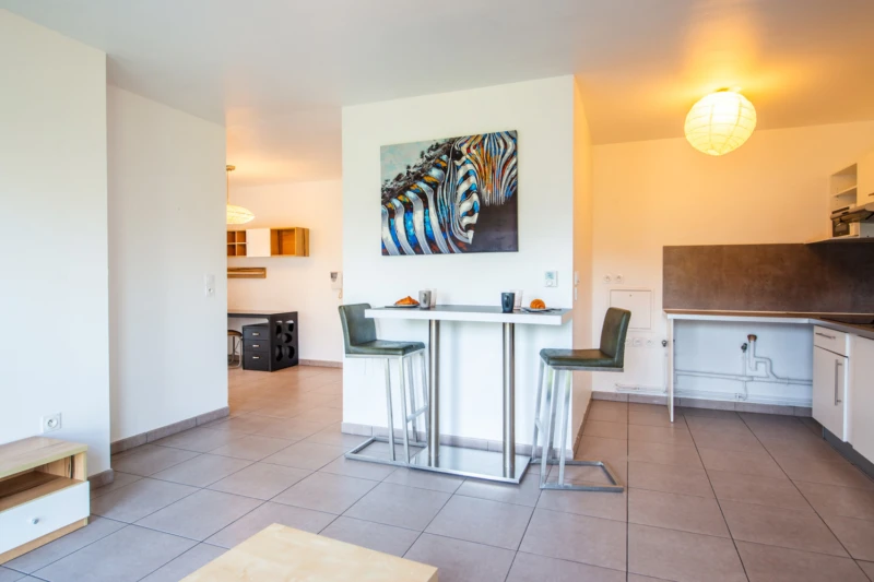 Grand T2 meublé Saint Herblain 2