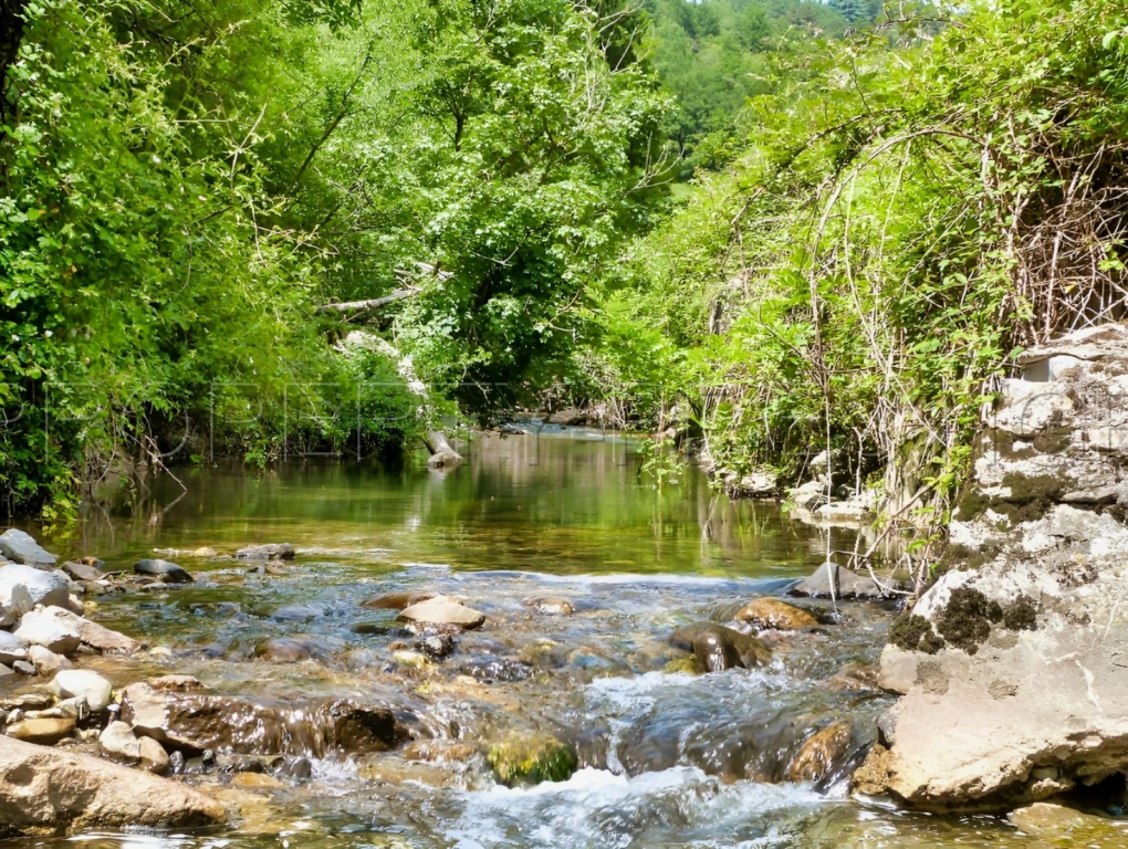 En Ardèche Mas de Caractère sur 13 Ha 2