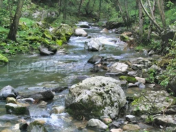 ARDECHE Domaine du XIXe 5 ha Bord de rivière 2