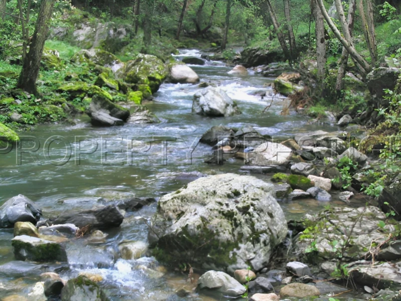 ARDECHE Domaine Réceptions Mariages 5.3 HA Rivière 7