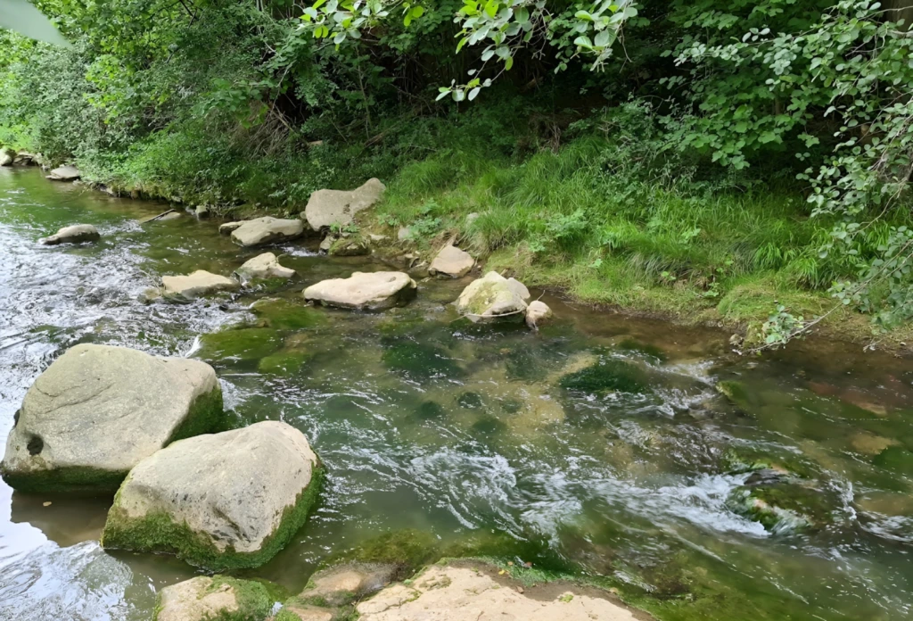 AUDE DOMAINE TOURISTIQUE 9 HA LACS 12