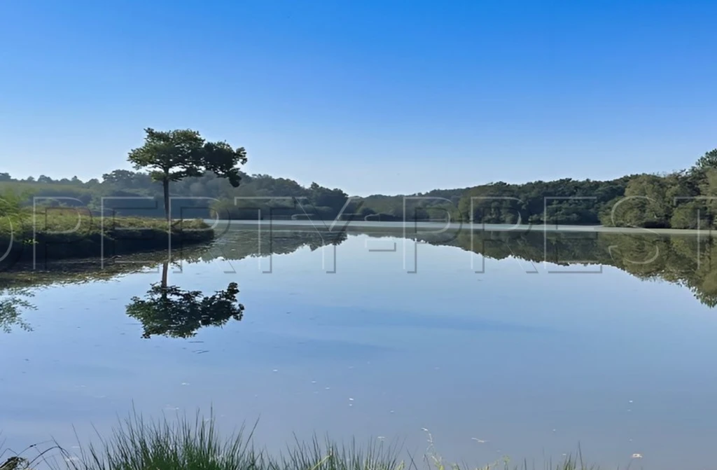 LANDES DOMAINE 57 ha ETANGS 20 ha 1