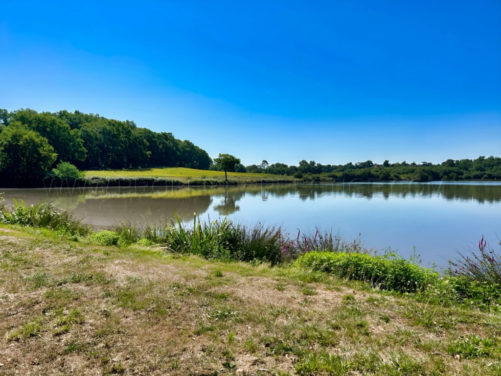 LANDES DOMAINE 57 ha ETANGS 20 ha 5