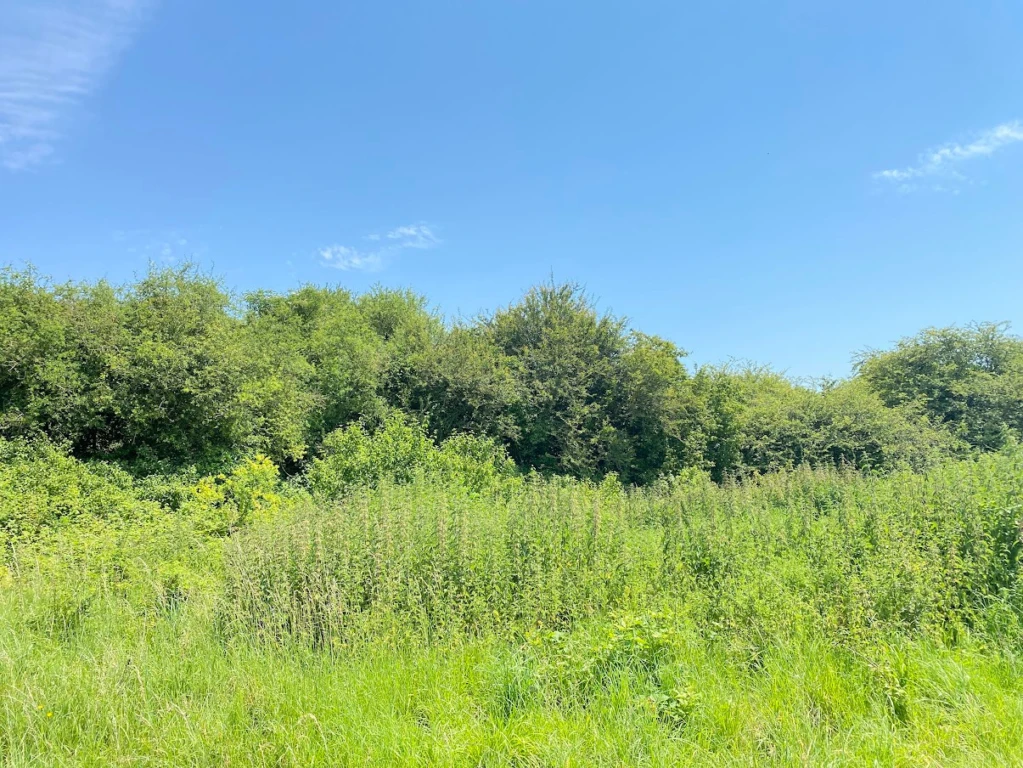 Superbe propriété sur près de 40ha 5