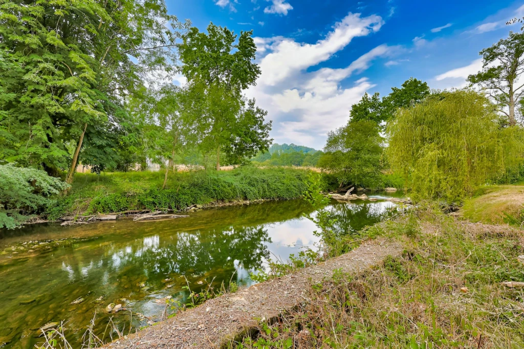 PAU DEMEURE DE MAÎTRE XVIIᵉ SIÈCLE 4.5 HECTARES 9