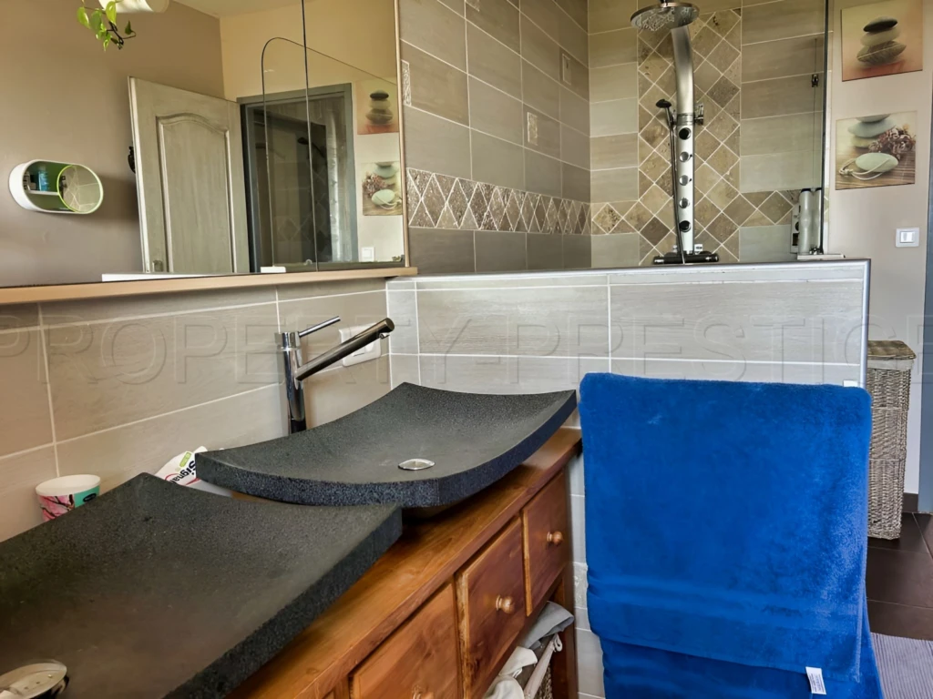 GERS PROPRIETE DE CHARME AVEC PISCINE SUR 8 800 M² 9