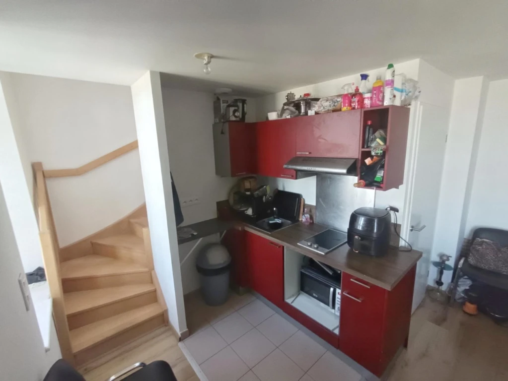 Appartement duplex 1 chambre parking 6