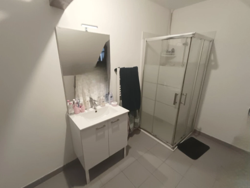 Appartement duplex 1 chambre parking 8