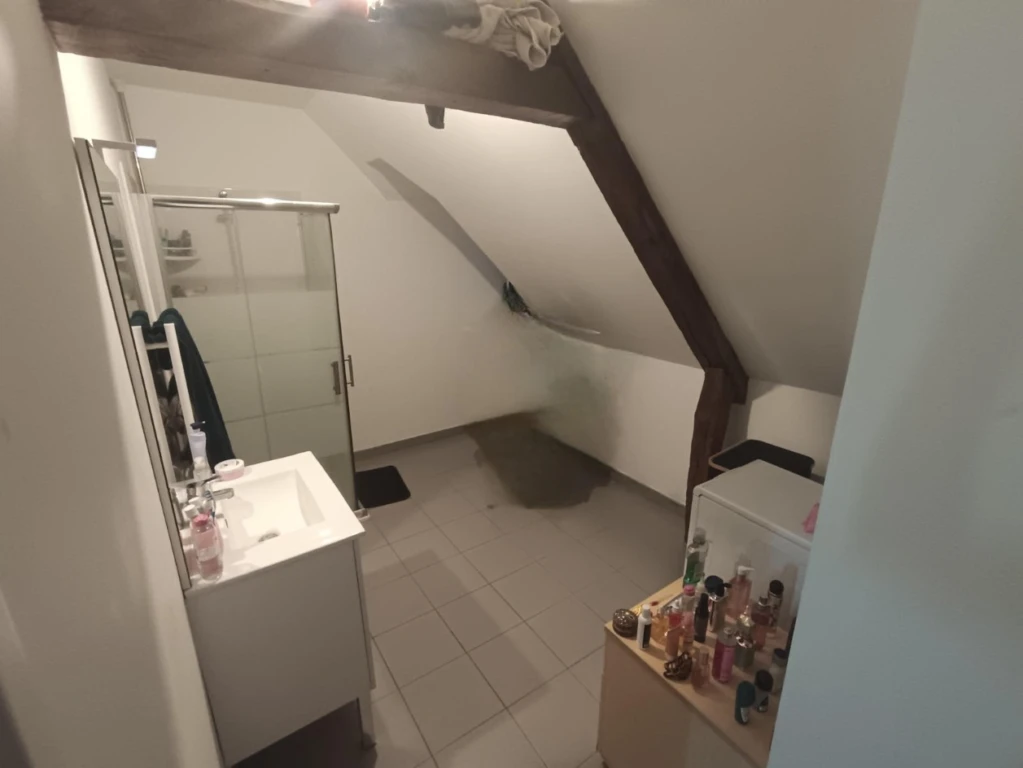 Appartement duplex 1 chambre parking 9