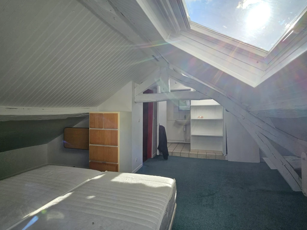 Appart 2 pièces, duplex de 52m² au sol 10