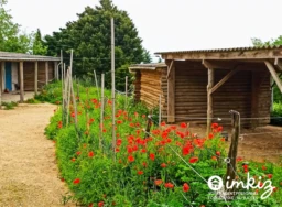 DOMAINE 7HA  avec  écurie privée - Toulouse SE 2