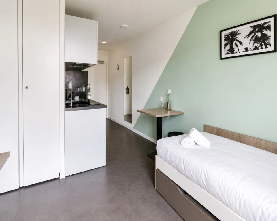 Investissement locatif - studio 5e avec terrasse 5
