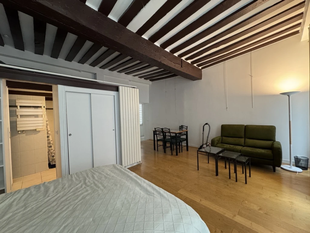 PARIS 6 - RUE DAUPHINE | Grand Studio meublé 4