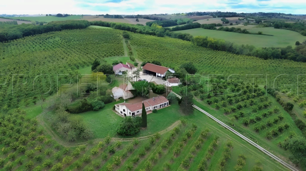 DOMAINE PRUNICOLE 65 ha - AGEN 1