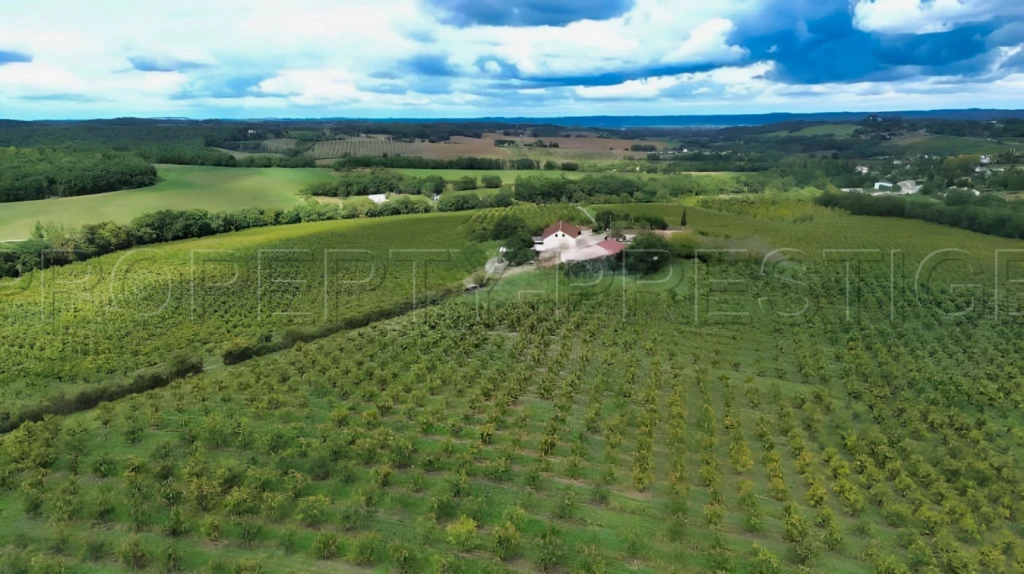 DOMAINE PRUNICOLE 65 ha - AGEN 9
