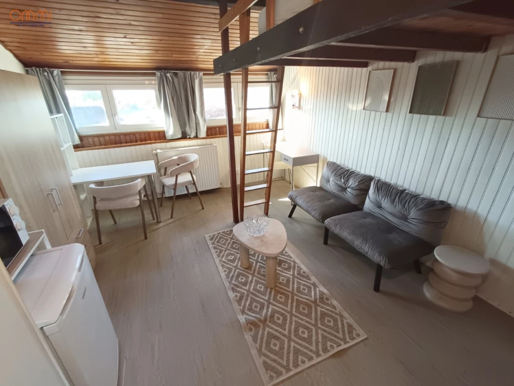 Grand studio 20m2 avec mezzanine 1