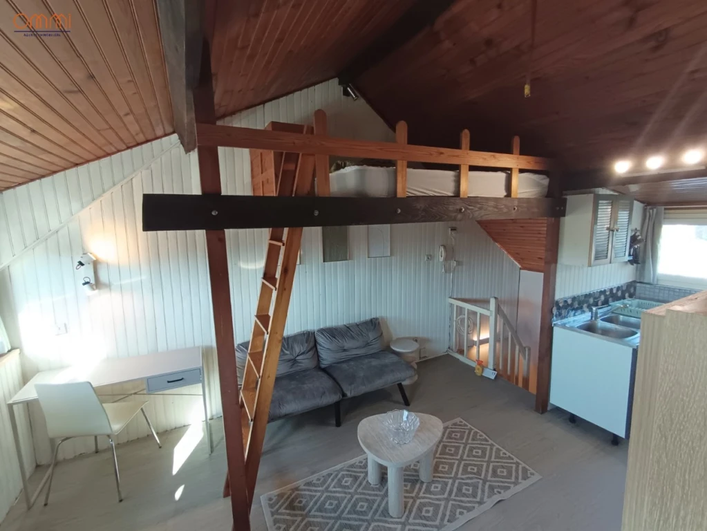 Grand studio 20m2 avec mezzanine 3