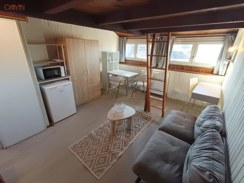 Grand studio 20m2 avec mezzanine 4
